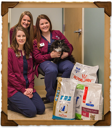 Health Maintenance Services of Bryan Road Animal Hospital