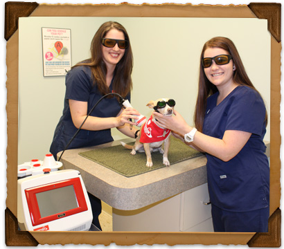 Health Maintenance Services of Bryan Road Animal Hospital