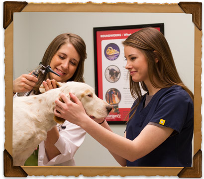 Health Maintenance Services of Bryan Road Animal Hospital