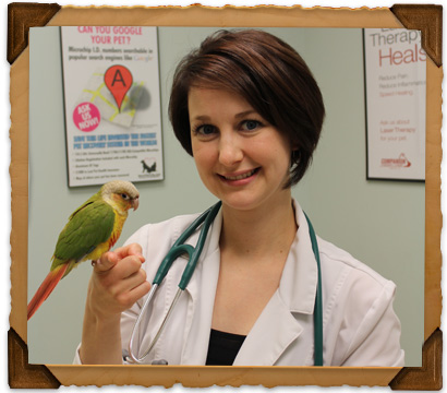 Pet Wellness Services at Bryan Road Animal Hospital