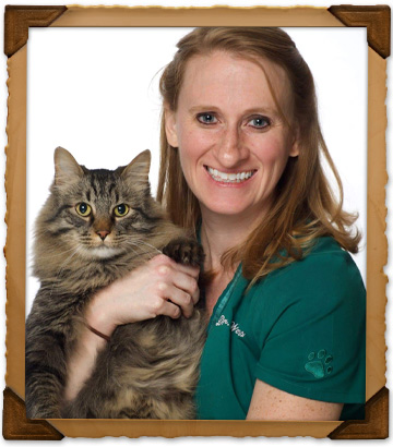 Veterinarians of Bryan Road Animal Hospital Veterinarians of Bryan Road Animal Hospital